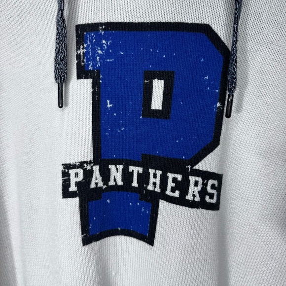 Bruzer Panthers Knit Hooded Sweater Size XL Academia Collegiate Preppy - Picture 7 of 12